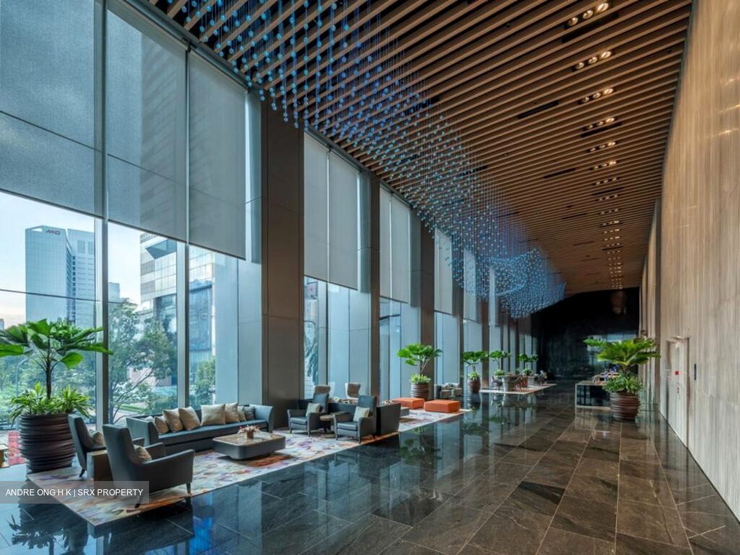 Capitasky (D1), Office #507807751